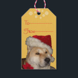 Etiqueta Para Presente Cute akita dog vestido de natal<br><div class="desc">O nome desta linda akita japonesa nesta grande etiqueta de presente personalizável do Natal chama-se Ásia, ela é uma akita vermelha, parte americana do tipo akita e parte japonesa do tipo akita. A Ásia é uma cadela de resgate e ela adora ser mimada na época de natal, ela parece muito...</div>