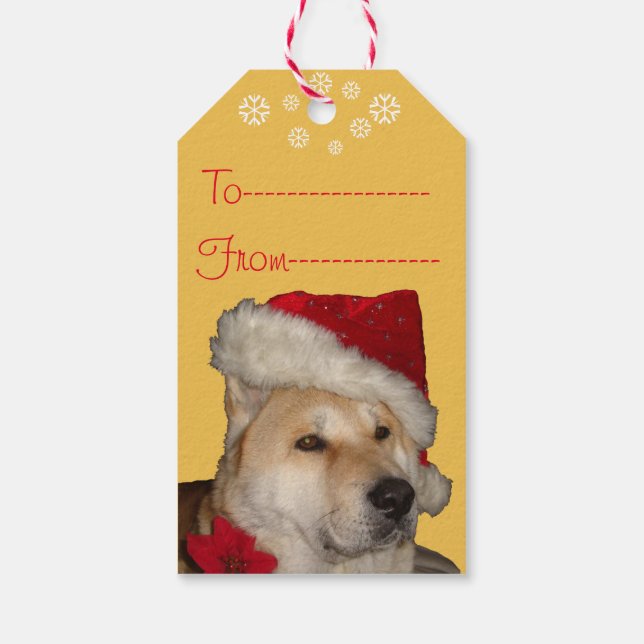 Etiqueta Para Presente Cute akita dog vestido de natal (Verso)