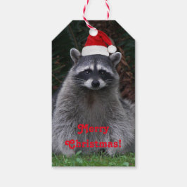 Etiqueta Para Presente Cute Raccoon Vestindo Feriado Vermelho Santa Hat