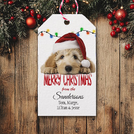 Etiqueta Para Presente Cute Santa Goldendoodle Christmas