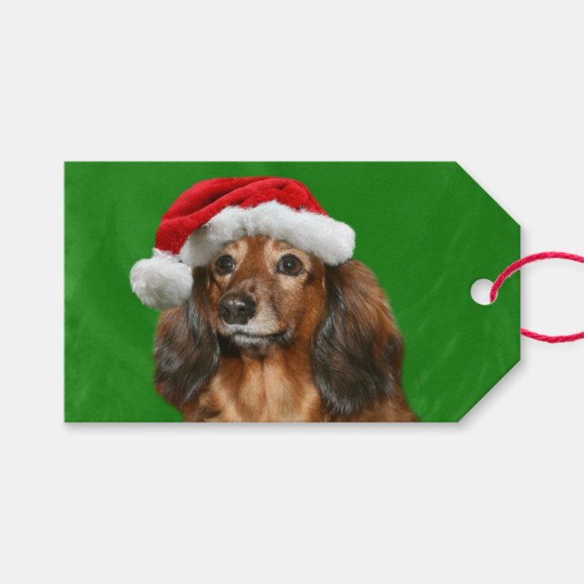 Etiqueta Para Presente Dachshund Christmas (Frente (horizontal))