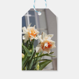 Etiqueta Para Presente Daffodils fodils fodils primavera