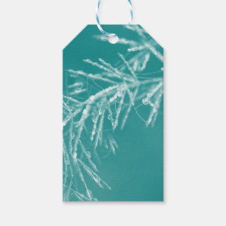 Etiqueta Para Presente Decorações de Natal da Natureza