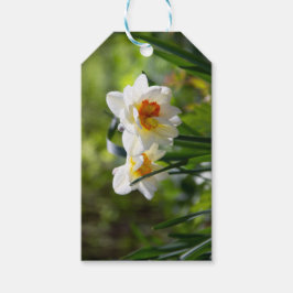 Etiqueta Para Presente Delicados narcisos fofos da primavera 