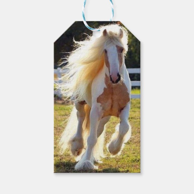 Etiqueta Para Presente Etiqueta de Presente de Cavalo (Frente)
