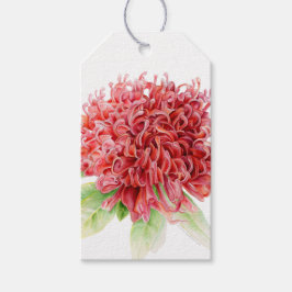 Etiqueta Para Presente Etiqueta de presente de flor de waratah vermelha