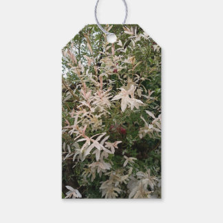 Etiqueta Para Presente Etiqueta de Presente de Flor Silvestre Botânica