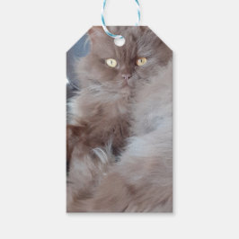Etiqueta Para Presente Etiqueta de Presente de Gato Fofo
