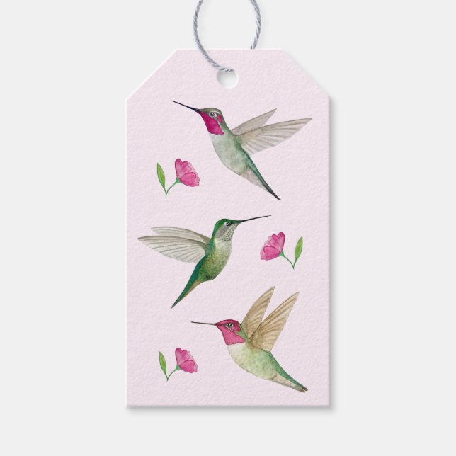 Etiqueta Para Presente Etiqueta de Presente de Hummingbird da Anna (Frente)
