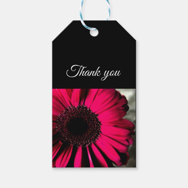 Etiqueta Para Presente Etiqueta de Presente Rosa Daisy (Frente)