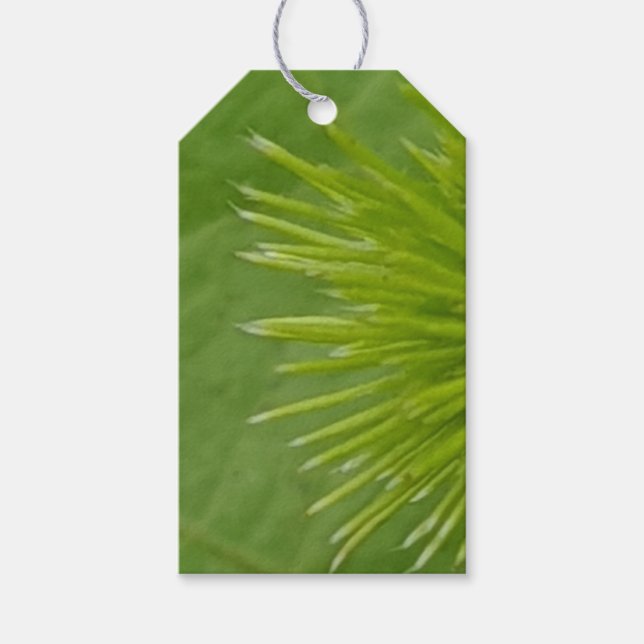 Etiqueta Para Presente Etiqueta de Presente Verde Natural (Frente)