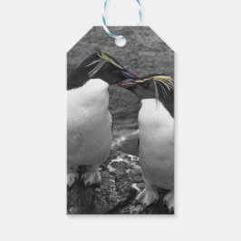 Etiqueta Para Presente Explosão de Cor de Pinguim