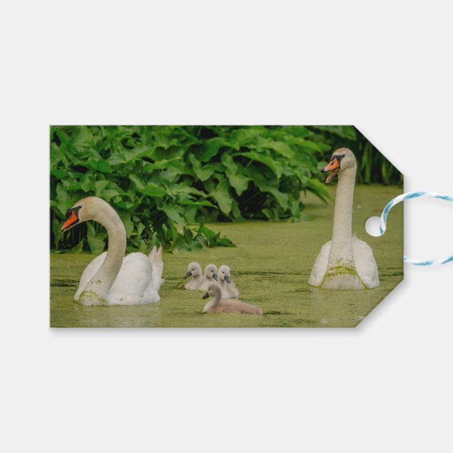 Etiqueta Para Presente Família Swan (Frente (horizontal))