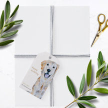 Feliz Aniversário do Cachorro do Retriever de Ouro