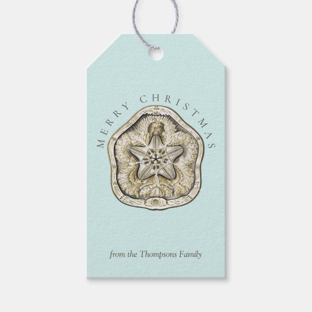 Etiqueta Para Presente Feliz Natal Turquesa Costeira de Areia (Frente)