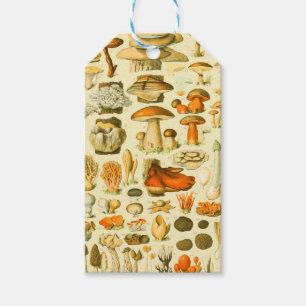 Etiqueta Para Presente Ferramentas de Vintagem de Cogumelo Arte Botânica
