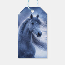 Festa de Natal Cavalo Bonito à Noite