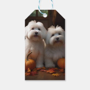 Etiqueta Para Presente Filhote de Coton De Tulear Delícia de Outono Abóbo