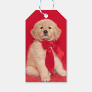 Etiqueta Para Presente Fita do vermelho do filhote de cachorro do golden