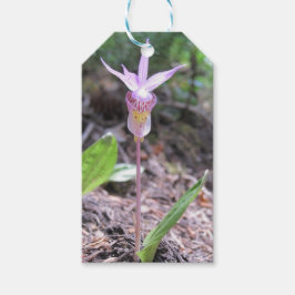Etiqueta Para Presente Flor Orquídea Fairyslipper