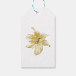 Etiqueta Para Presente Flor real de lírio amarelo-branco.