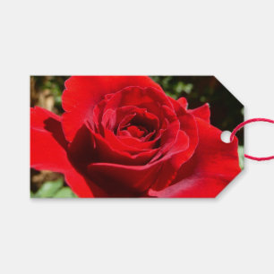 Etiqueta Para Presente Flor Rosa vermelha brilhante Flor