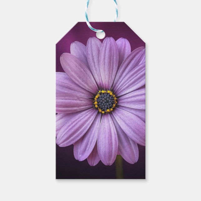 Etiqueta Para Presente Flor Roxo no Bloom (Frente)