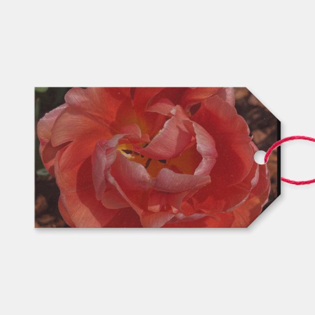 Etiqueta Para Presente flor vermelha (Frente (horizontal))