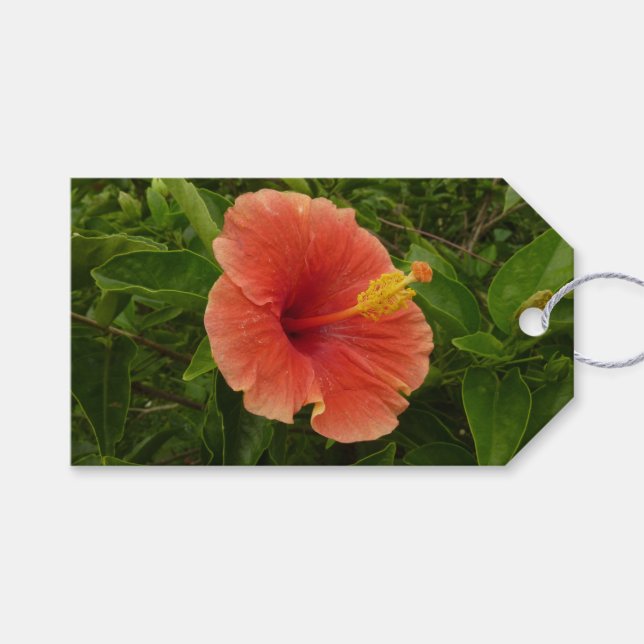 Etiqueta Para Presente Floral Tropical de Laranja Hibiscus (Frente (horizontal))