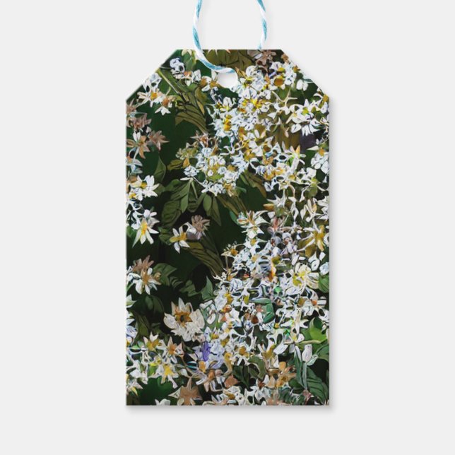ETIQUETA PARA PRESENTE FLÔRES ASTER (Frente)