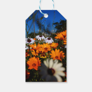 Etiqueta Para Presente Flores Namaqualand selvagens