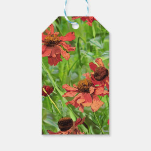 ETIQUETA PARA PRESENTE FLÔRES VERMELHAS DE RUDBECKIA