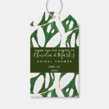 Folha de Monstera Adansonii Chuveiro de Noiva Ades
