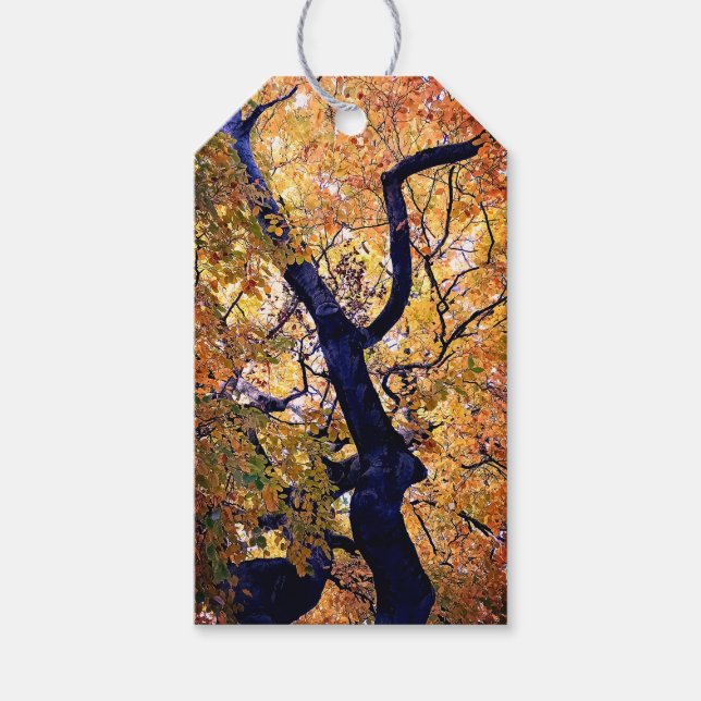 Etiqueta Para Presente Folhas amarelas e laranja (Frente)