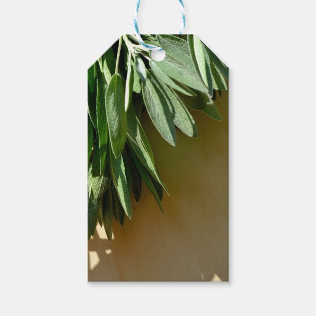 Etiqueta Para Presente Folhas botânicas verdes Elegantes Plantas aromátic (Frente)
