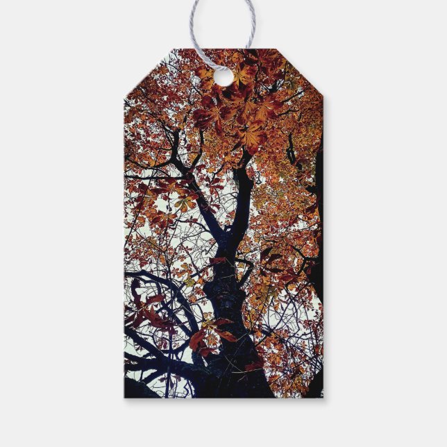 Etiqueta Para Presente Folhas de ouro (Frente)