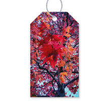 Folhas de outono brilhantes