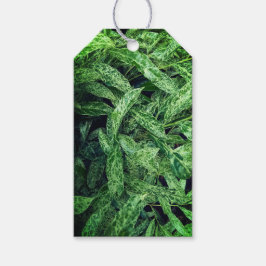 Etiqueta Para Presente Folhas verdes