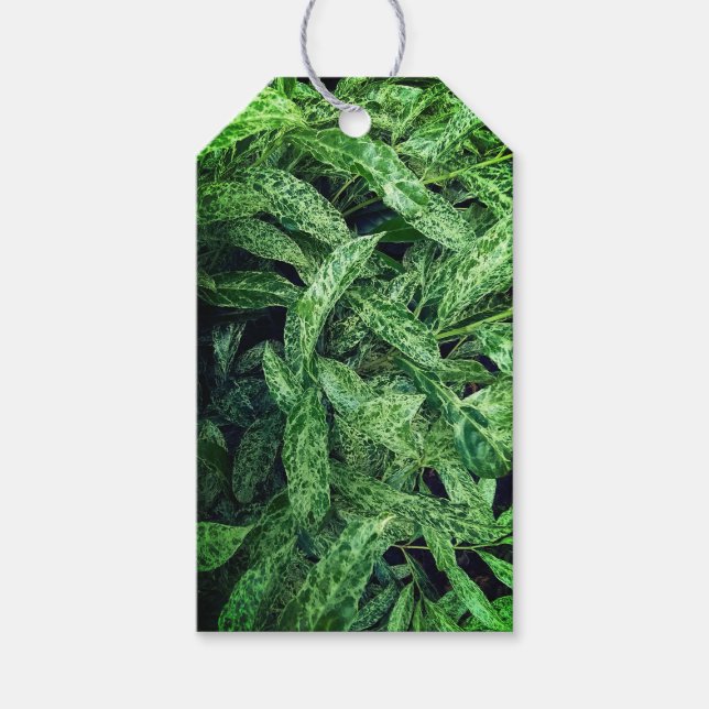 Etiqueta Para Presente Folhas verdes (Frente)