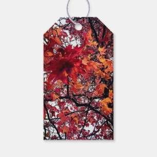 Etiqueta Para Presente Folhas vermelhas e laranja