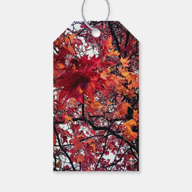 Etiqueta Para Presente Folhas vermelhas e laranja (Frente)