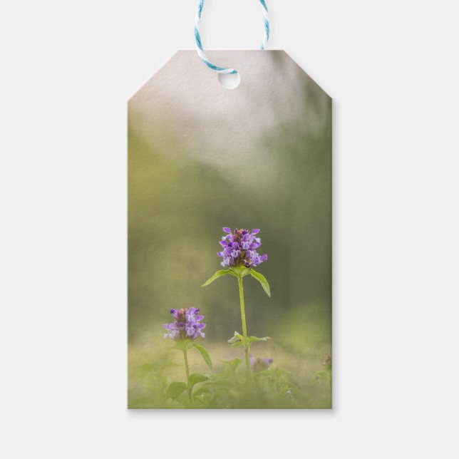 Etiqueta Para Presente Foto da Natureza da Flor Roxa (Frente)