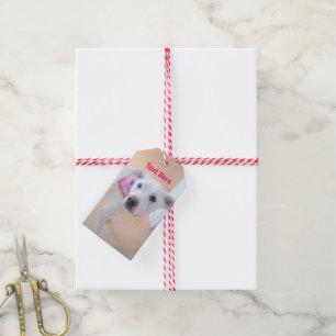 Etiqueta Para Presente Foto de Cachorro Branco Cachorro Gelado Rosa