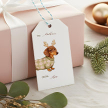 Foto de Dachshund com Suéter Xadrez de Natal