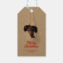 Foto de Natal de Cachorro Pupado da Família Pet Di