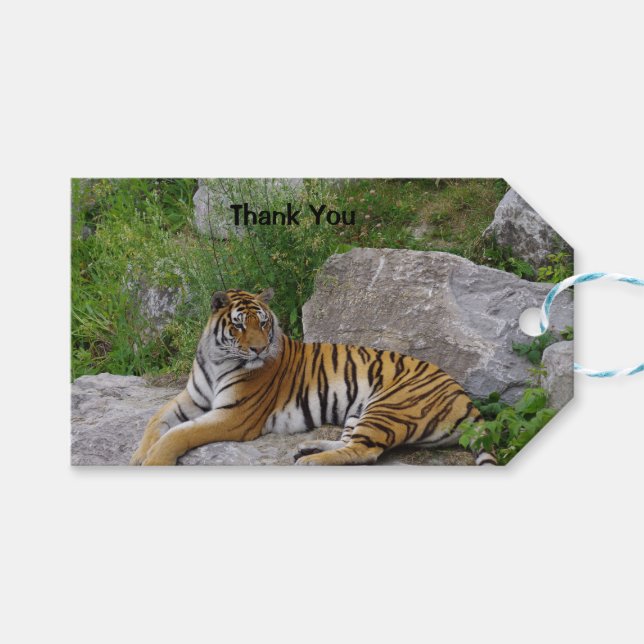 Etiqueta Para Presente Foto de retrato de um tigre siberiano (Frente (horizontal))