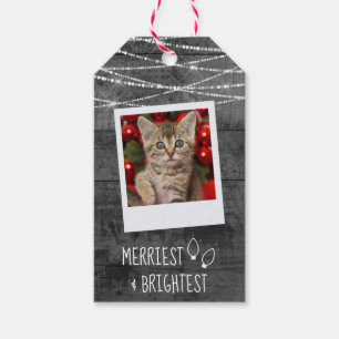 Etiqueta Para Presente Foto em frente à frente monocromática das luzes de