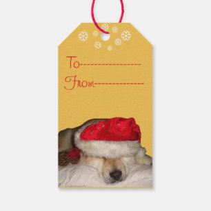 Etiqueta Para Presente foto engraçada de cachorro de akita fofa para o N