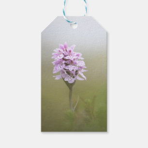 Etiqueta Para Presente Foto Orquídea