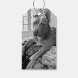 Etiqueta Para Presente Fotografia de Amor Pit Bull
